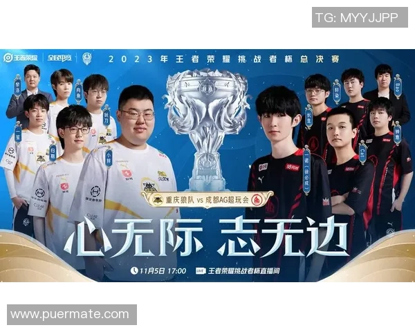 FPX在挑战者杯中的实力表现分析与未来展望