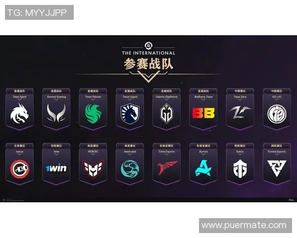 DOTA2深度解析：揭秘WE战队的默契配合与战术策略