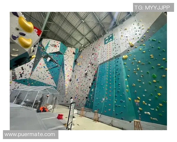 上海攀岩队灵活性探讨:如何在竞争中保持优势与创新 上海攀岩队灵活性探讨:如何在竞争中保持优势与创新