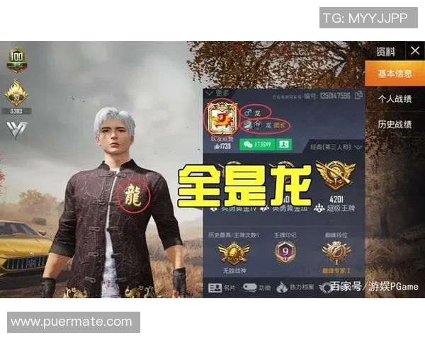 和平精英巨献：深入解析TES战队的战术意识与团队配合技巧