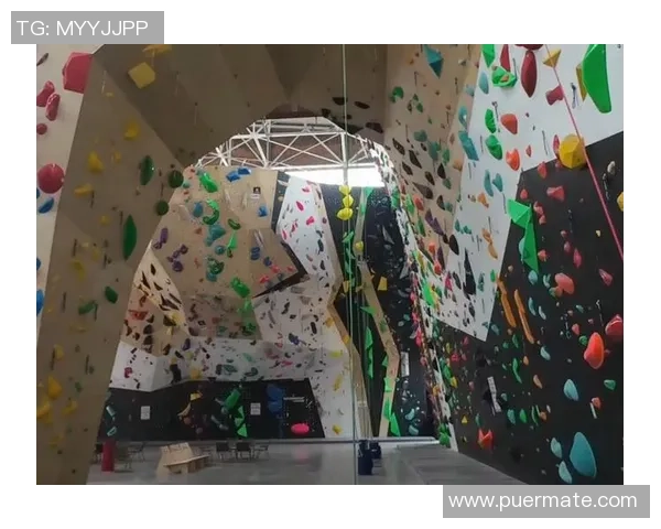 武汉攀岩队比赛经验分享：探索攀岩运动的挑战与乐趣