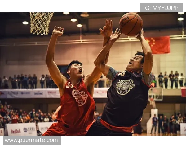 武汉篮球队运营策略深度分析与成功经验分享