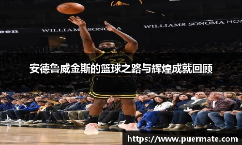 安德鲁威金斯的篮球之路与辉煌成就回顾